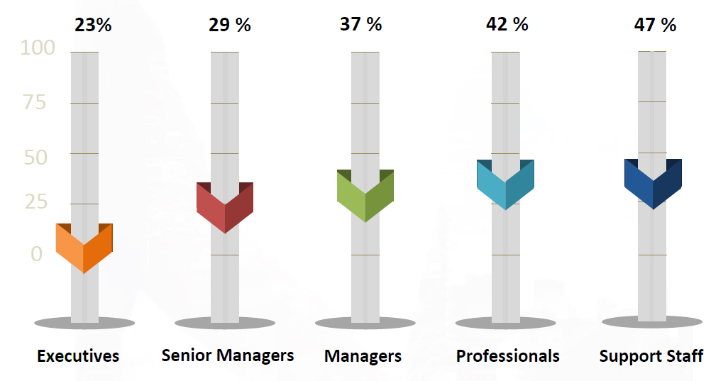 Women representation in the workplace